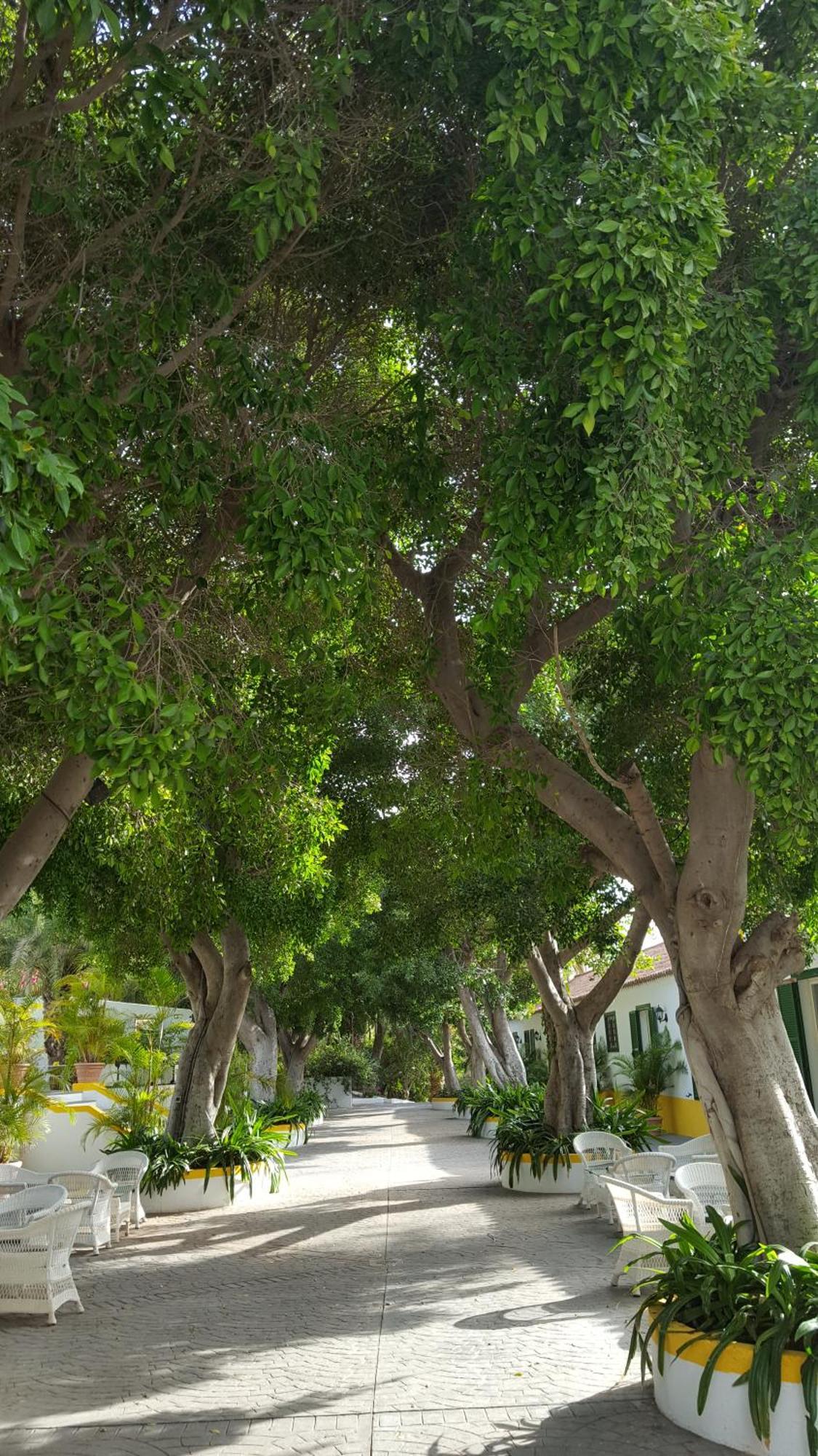 Cortijo San Ignacio Hotel El Cortijo  Kültér fotó