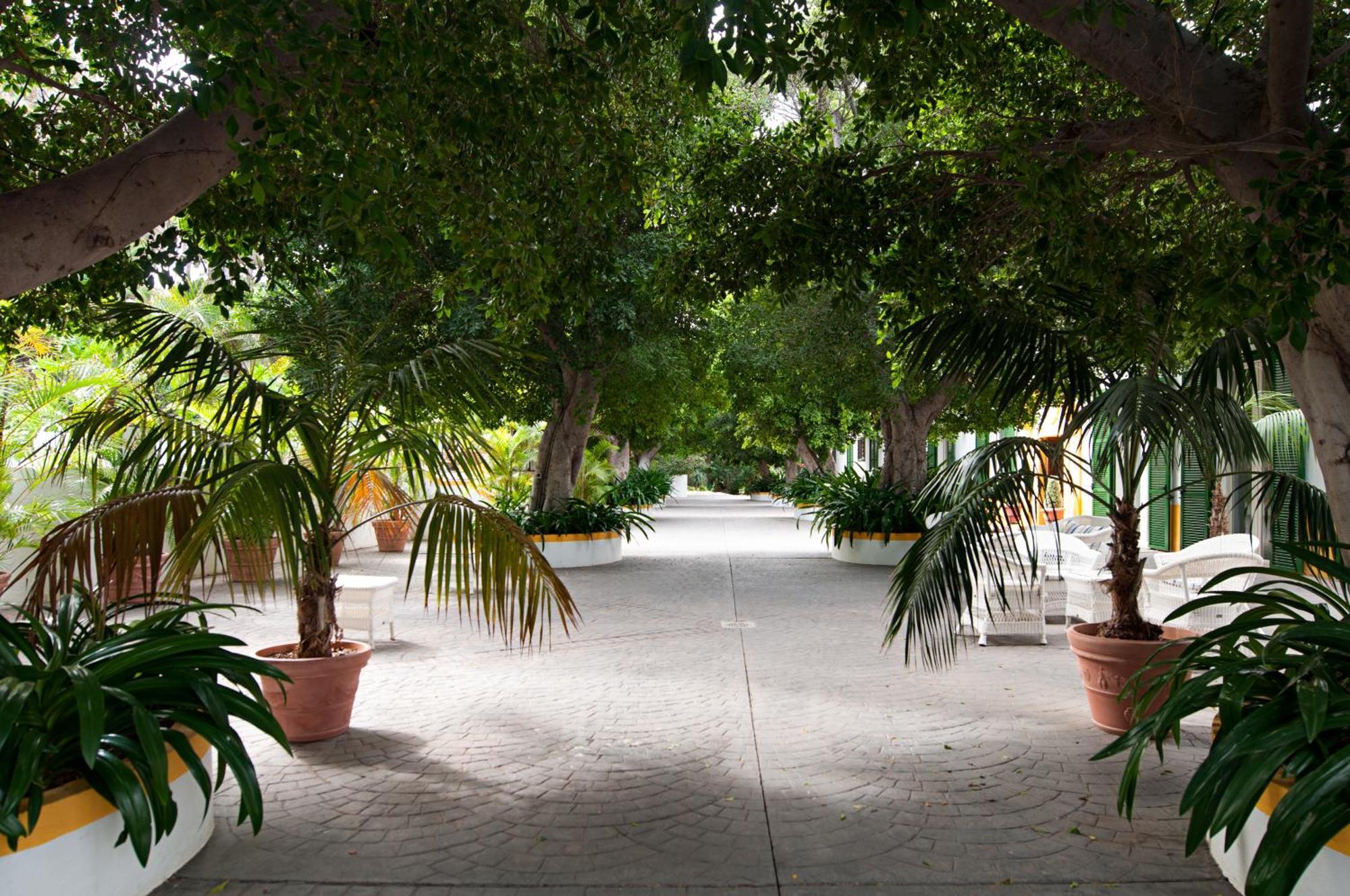Cortijo San Ignacio Hotel El Cortijo  Kültér fotó